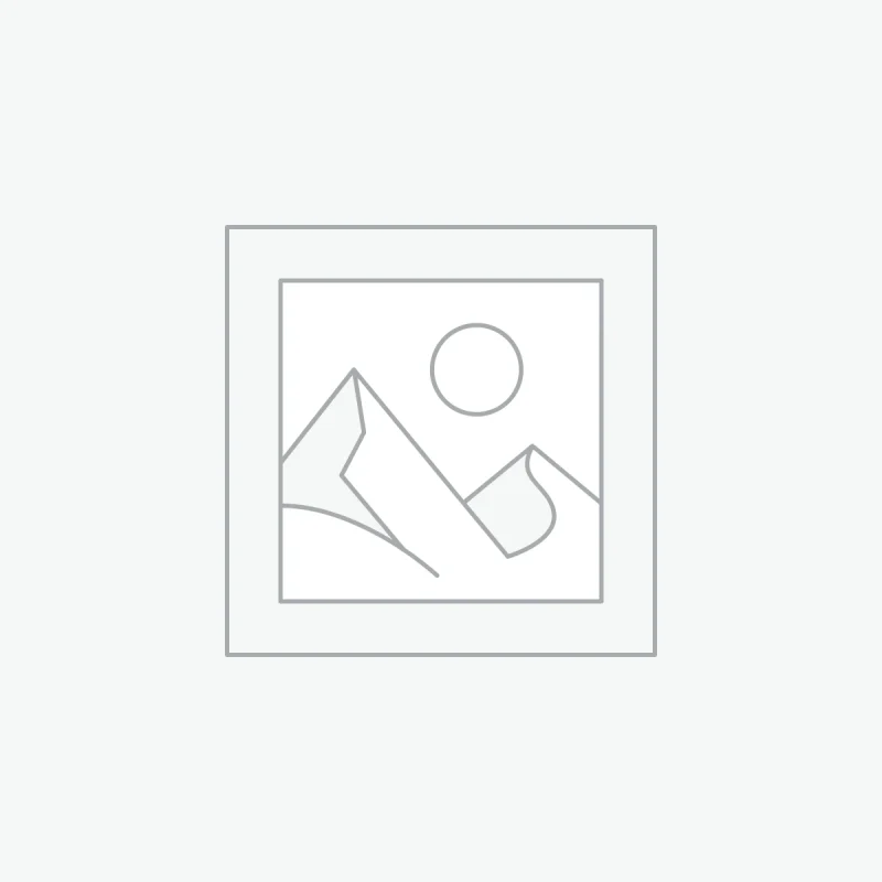 محصول شماره شش